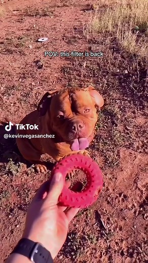 Break the Loop Today: Stop Repeating Patterns