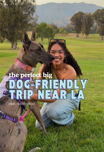 Ojai Dog-Friendly Weekend: Perfect 24-Hour Itinerary