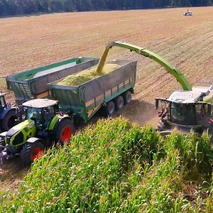 282K views · 4.8K reactions | Multiple claas machinery at corn silage  | Big Machines | Facebook