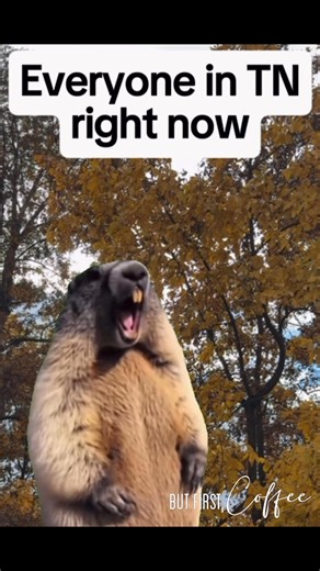 Come on down and have a hot cup of chocolate and/or coffee! Stay warm out there. | But First, Coffee | Facebook