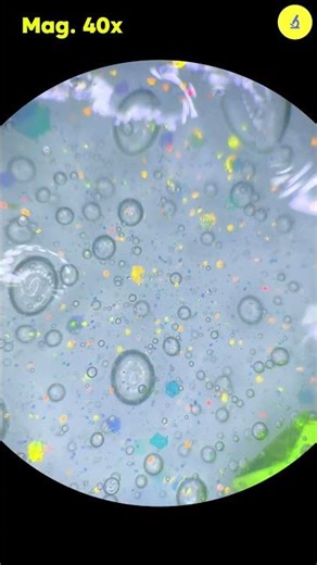 Slime Is Extremely Dangerous Under the Microscope | TULO - Microscope #shorts #microscope #science