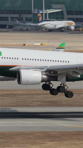 대만의 에바항공 EVA AIR #airplane #spotting #aviation #비행기 #planespotting #avgeek #ICN #airportspotting