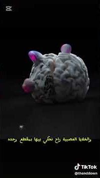 تابع #اكسبلور #ترند #دويتو #لايكياالله #ضحك #حالات_واتس #لايك #متابعه #love #duo