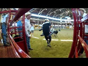 Mutton busting at the 2012 Iowa State Fair