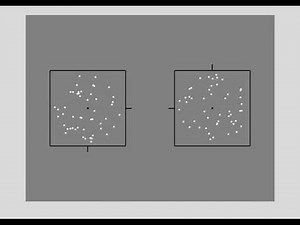 Dot Stimuli 100-100 contrast