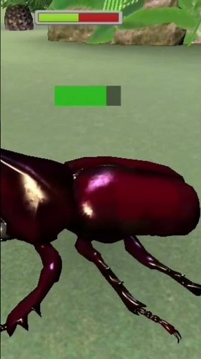 Rhino beetle vs stag beetle 🪲