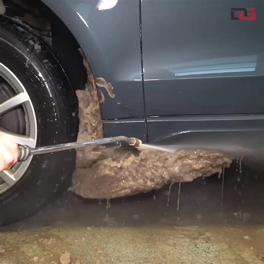 Cleaning a SALVAGED Audi Bought At Auction! | The Detail Geek