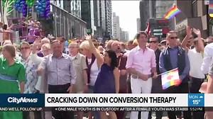 6.7K views · 74 reactions | ``Conversion therapy is premised on a lie, that being homosexual, lesbian, bisexual or trans is wrong and in need of fixing,'' Justice Minister David Lametti said Monday moments after tabling the bill in the House of Commons. | CityNews Toronto | Facebook