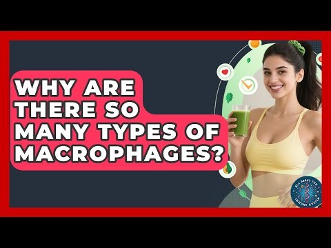 Why Are There So Many Types Of Macrophages? - All About the Immune System