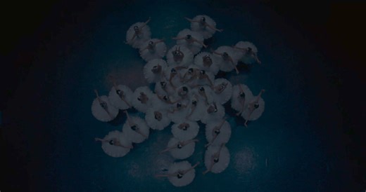 „Schwanensee“ von der Pariser Oper wird das erste Ballett der Filmwelt für IMAX sein und wechselt von der Bühne auf die Leinwand für ein beispielloses, immersives Bild- und Klangerlebnis der besonderen Art. Exklusiver Termin in den Kinos ab dem 8. November. Tickets: swanlake.film | Opéra national de Paris