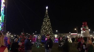 4.2K views · 70 reactions | Check out the lighting effects on the giant Christmas tree at Folepi’s Enchanted Forest! | East Peoria Festival of Lights | Facebook