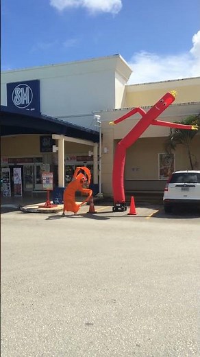 I was feeling a little wacky...