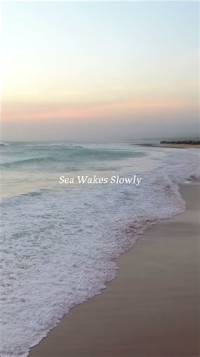 Lighten Your Mind & Start Your Day Feeling Good 🌺 Vol.1 | Hawaiian Music | Work & Relax