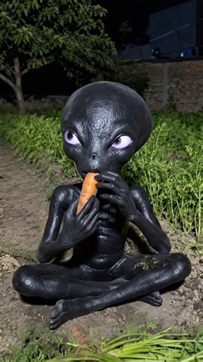 भैंसे ने मेरी साइकिल तोड़ दी और alien Mera गाजर खा गया 🤯 #minivlog #alien #shorts #baffalo