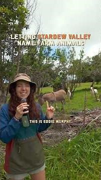 letting stardew valley name farm animals 👩🏼‍🌾