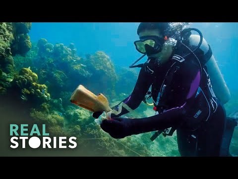 Should We Stop Using Plastic? (Global Documentary)