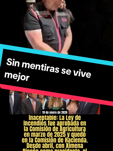 Incendios forestales en Chile: Liderazgo y Respuesta