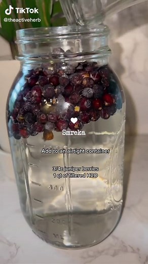 Fermented Herbal Drink Recipe with Juniper Berries