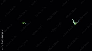 Two Green Parakeets - American Parrot Birds - Flying Around Loop - Realistic 3D animation with alpha channel isolated on transparent background