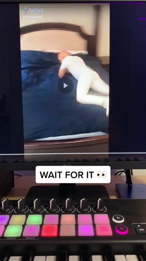 Meg Thee Stallion Body Challenge Dance Compilation