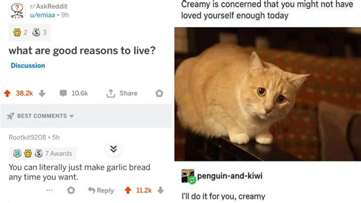 14 Comments So Blessed They'll Leave You Unstressed