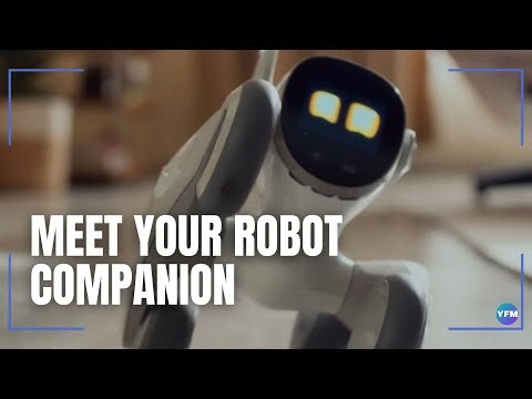 Meet your robot companion