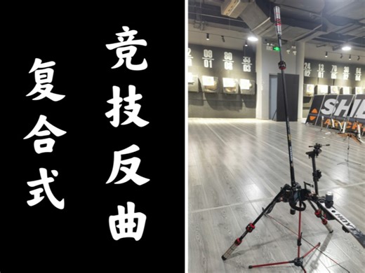 复合式竞技反曲