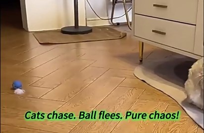 Interactive Cat Ball for Indoor Cats - Dual-Speed Automatic Rolling Ball Toy with 90Min Run Time, Plush + Feather Tails, Energetic Cat Chase Exercise, Blue/Orange, 1PC