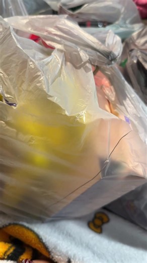 Massive Dollar Tree Makeup Haul: Products You Can't Miss