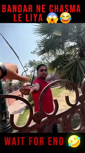 Bandar ne chasma le liya 😱 #souravjoshivlogs #shorts #viral #ytshorts