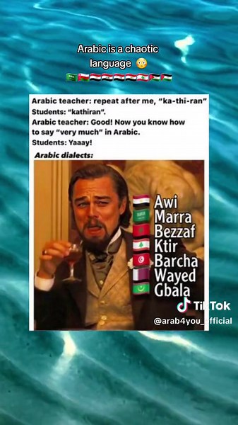 #fyp #arab #syria #iraq #lebanon #turkey #egypt #morroco #algeria #jordan #palestine #saudiarabia #mekkah #france #islam