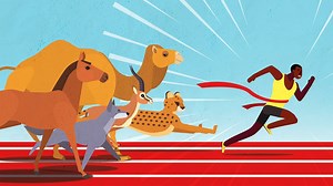 927K views · 1K reactions | How did humans get to be such great endurance runners. | Insider Science | Facebook