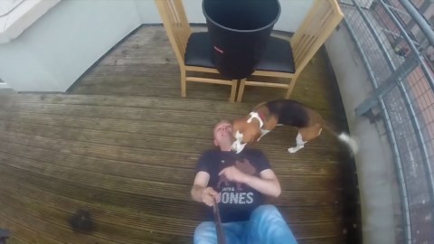 My dog attempted the ice bucket challenge on me