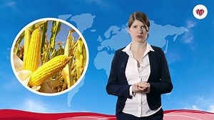 Hidden Hunger is a global challenge we have to face together! Inessa Diesing, Executive Director at Assmann-Stiftung for Prevention, talks about the risks, challenges and solutions to micronutrient deficiency. You want to get involved? Join our student contest and compete for #scholarship and €10.000 project funding. Click on the link below or go to www.students4kids.org/en and "Apply Now!" | Students4Kids