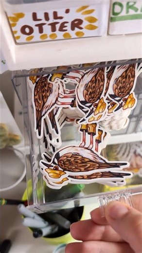 How I organize nearly 50 different sticker designs