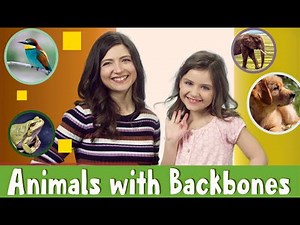 Animals with Backbones: Fun Science for Kids! 🦴🐠 | Acellus Grade 2