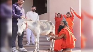 Baba Ramdev Drinks Donkey Milk In Viral Video, Says 'Cleopatra Took Bath With It' — WATCH
