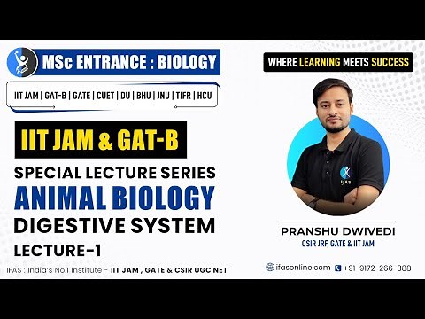 Digestive System in Animal Biology (Complete Details) | L1