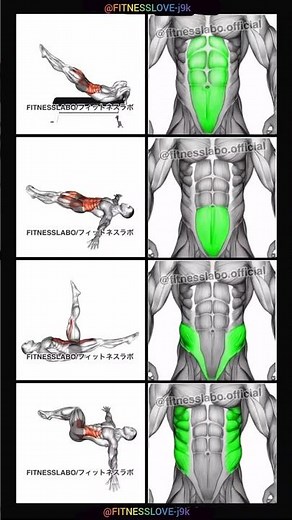 four different core exercises (abs workout), highlighting the muscles worked during each movement.