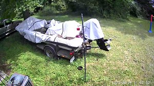 Squirrel stashes an ear of corn