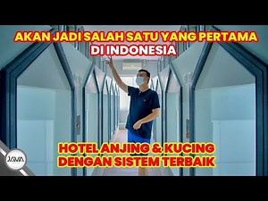GROOMING PETS KEREN DENGAN SISTEM TERBAIK | JAVA PETCO TANGERANG