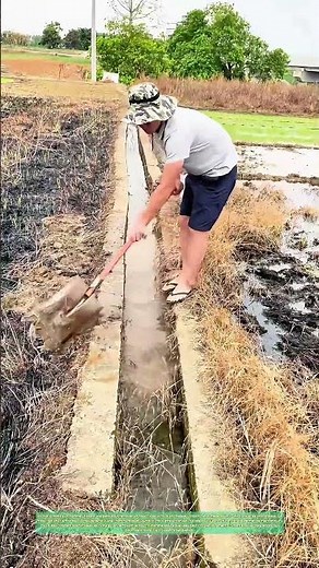 Nettoyer le fossé avec une pelle : Comment maintenir l'équilibre de l'eau dans les champs ?