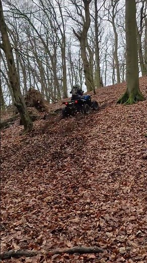 Better than 2026 scrambler S ? What you think ? #offroad #atv #hillclimb #quads #quad