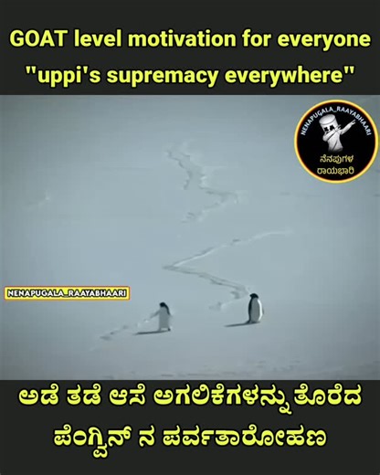 ನೆನಪುಗಳ ರಾಯಭಾರಿ on Instagram: "ಎಲ್ಲೆಲು ಪೆಂಗ್ವಿನ್ Follow:@nenapugala_raayabhaari #kannada #Karnataka #kannadamaate #naadu #nudi hesru_hakalla_en_iga SM_INTROSPECTION iam_sundra😉 Copyright ©️ Under section 13 of the Copyright Act 1957, copyright protection is conferred on literary works, dramatic works, musical works, artistic works, cinematograph films and sound recording. For example, books, computer programs are protected under the Act as literary works. Kindly Please DM for credit and removal