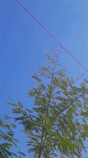 tuzya bheti sathi ❤