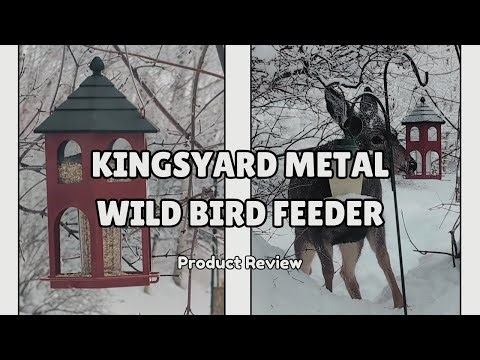 Durable, Weather-Proof & Bird-Approved 🐦 Kingsyard Metal Bird Feeder Review