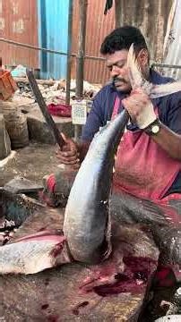 Speed Selvam⚡️BIG TUNA FISHCUTTING🦈🔥 #kasimedu #fishcutting #skills #vmfishcutting