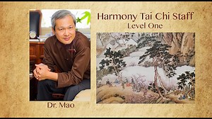 Tai Chi Staff - Level One