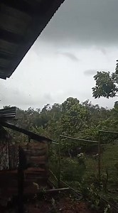 #internacional | 🌪️ Un tornado azotó este sábado el municipio de El Tortuguero, en la Región Autónoma de la Costa Caribe Sur de #Nicaragua. Afortunadamente, solo se reportan daños materiales. Autoridades evalúan afectaciones. | Panorama Sin Reservas 620 AM