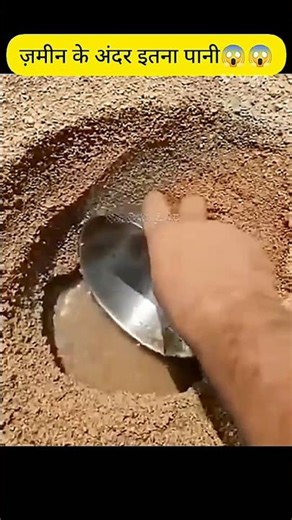 Unbelievable Miracle of Allah 😱 | in Palestine #facts #allah #islamicvideo #shorts